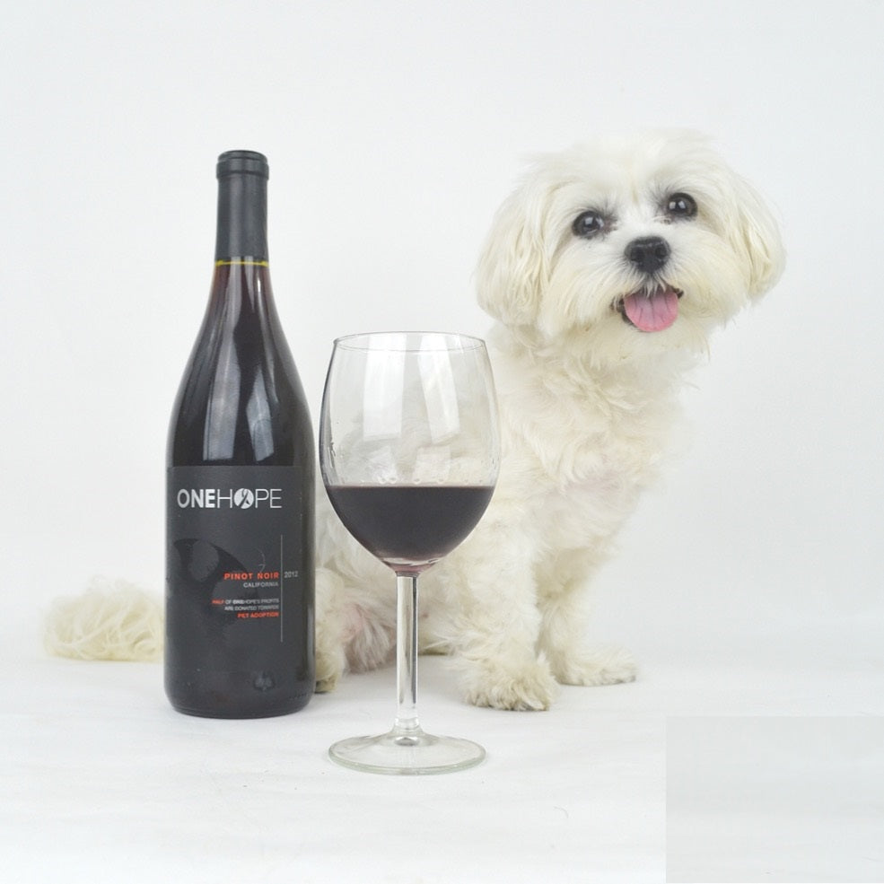 Best Wines That Support Dog Causes
