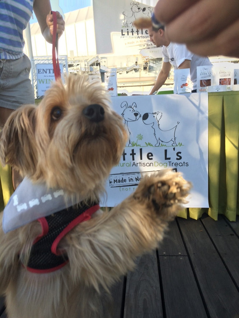 Little L's Attends "Strut Your Mutt"!