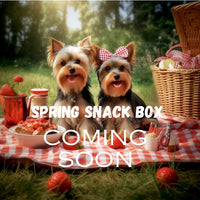 Spring Snack Box for Dogs