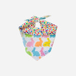 Reversible Spring Bandana